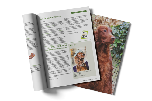 Ierse setter magazine