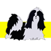 Logo shih tzu